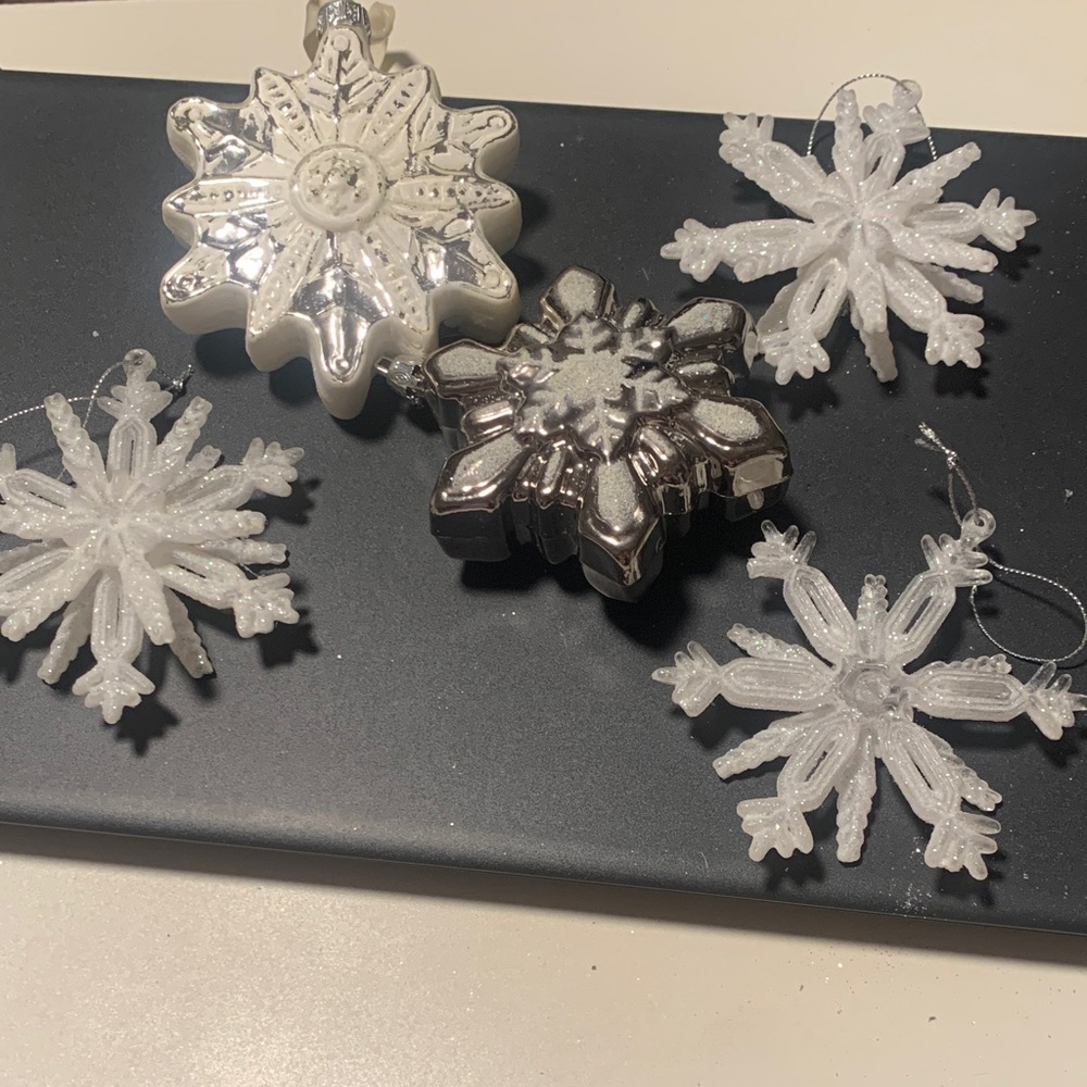 Silver and White Snowflake Ornaments Set of 5